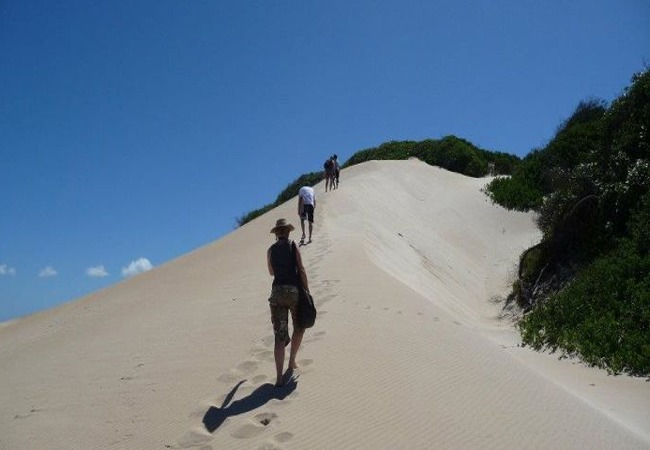 Sand Boarding South Africa
